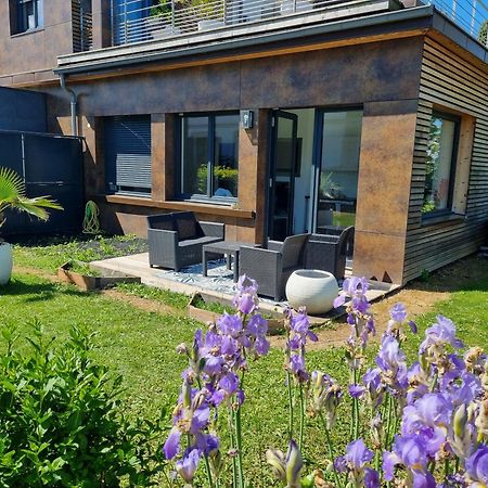 Appartement Cozy 1 Panoramique Lac Leman טונון-לה-בן מראה חיצוני תמונה