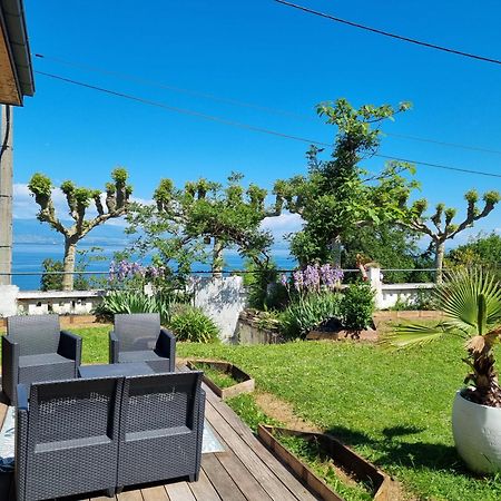 Appartement Cozy 1 Panoramique Lac Leman טונון-לה-בן מראה חיצוני תמונה