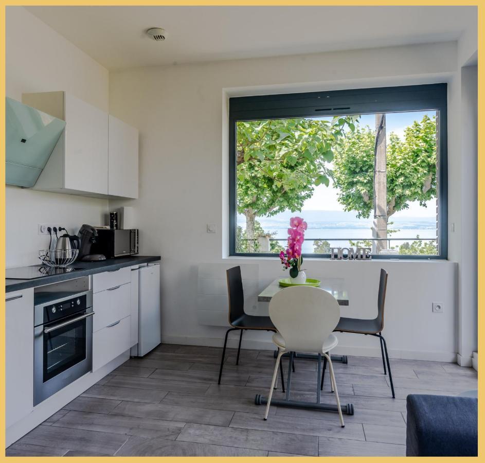 Appartement Cozy 1 Panoramique Lac Leman טונון-לה-בן מראה חיצוני תמונה