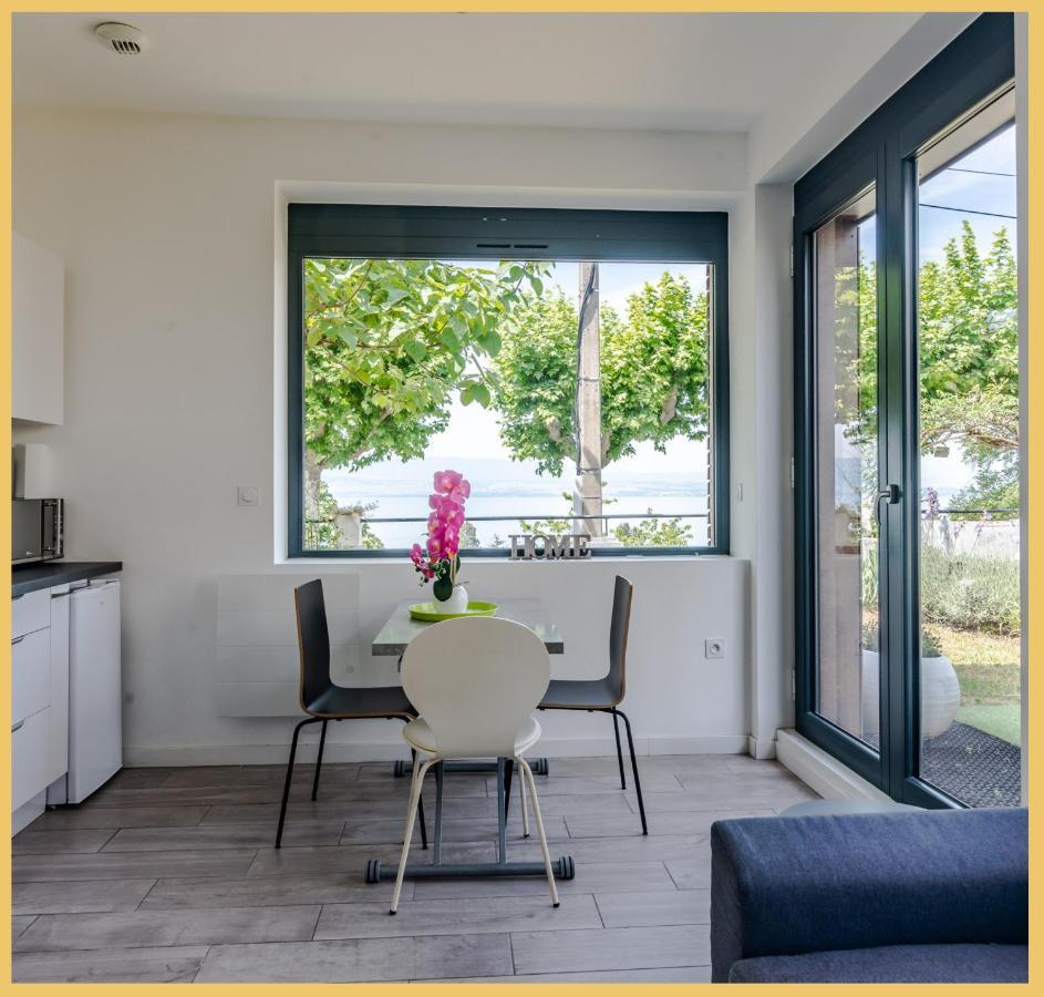 Appartement Cozy 1 Panoramique Lac Leman טונון-לה-בן מראה חיצוני תמונה