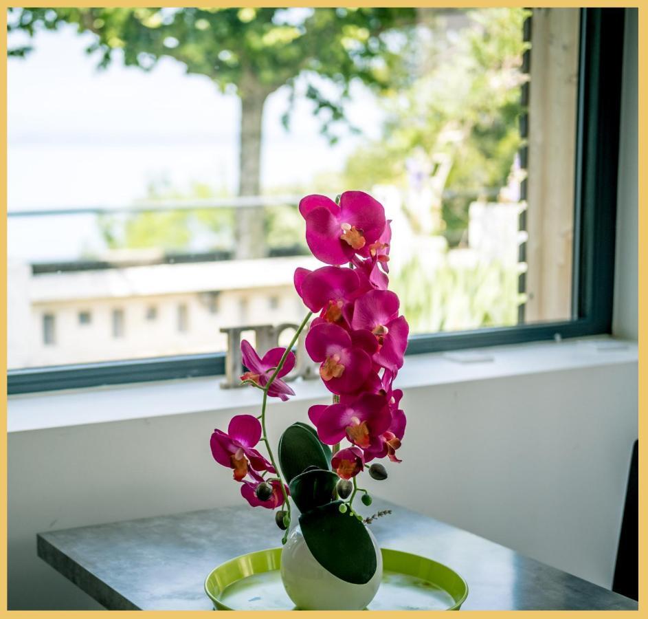 Appartement Cozy 1 Panoramique Lac Leman טונון-לה-בן מראה חיצוני תמונה